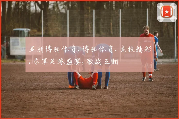 亚洲博狗体育,博狗体育,竞技精彩,尽享足球盛宴,激战正酣