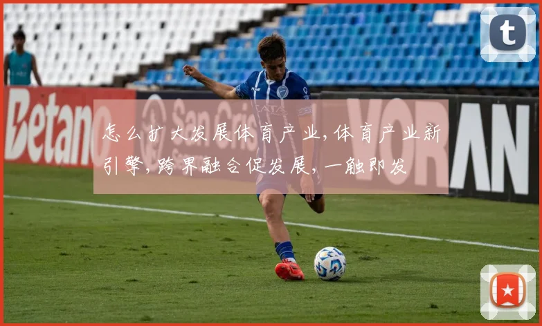 怎么扩大发展体育产业,体育产业新引擎,跨界融合促发展,一触即发