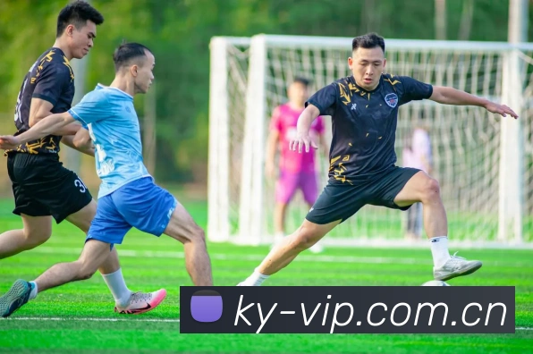 ky体育全站App